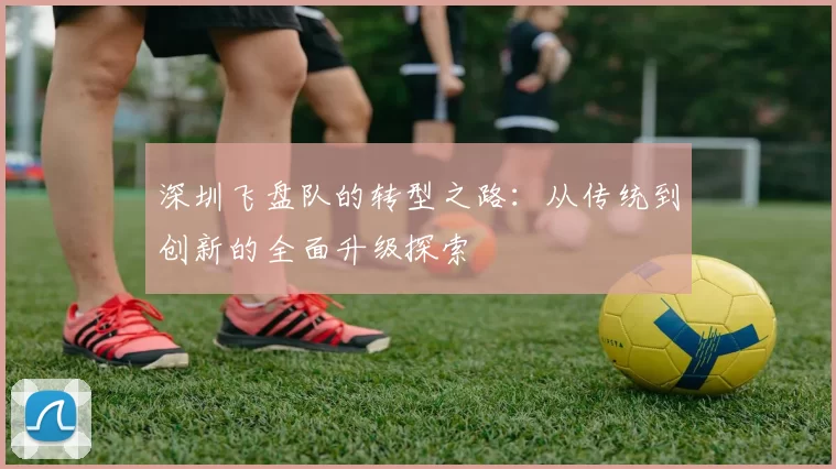 深圳飞盘队的转型之路：从传统到创新的全面升级探索