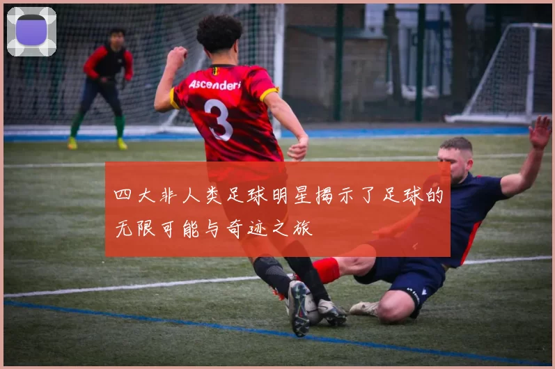 四大非人类足球明星揭示了足球的无限可能与奇迹之旅