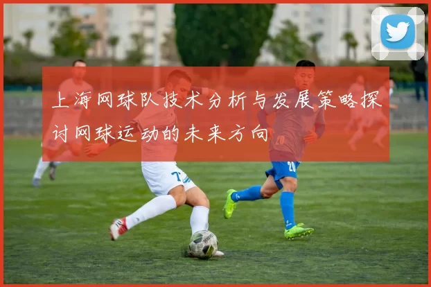 上海网球队技术分析与发展策略探讨网球运动的未来方向