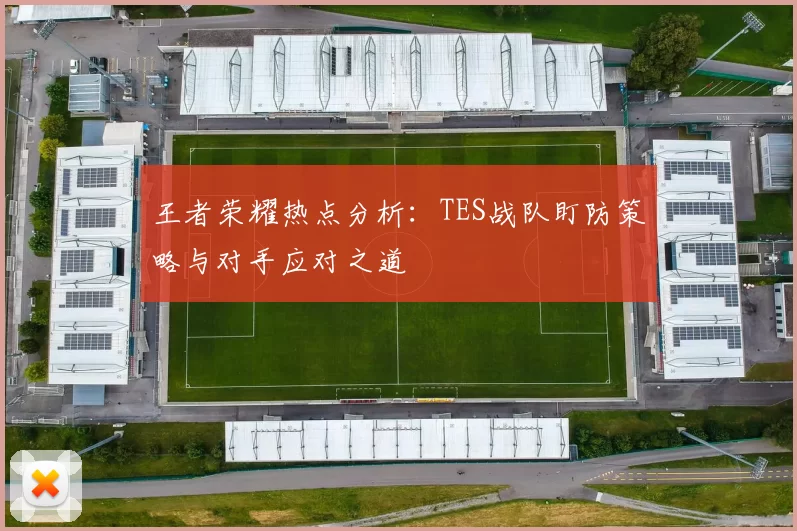 王者荣耀热点分析：TES战队盯防策略与对手应对之道