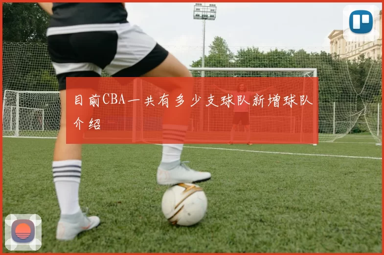 目前CBA一共有多少支球队新增球队介绍