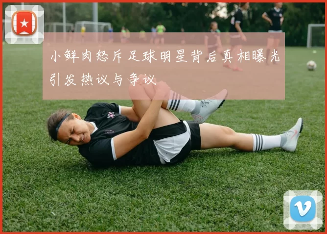 小鲜肉怒斥足球明星背后真相曝光引发热议与争议