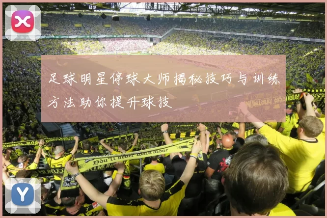 足球明星停球大师揭秘技巧与训练方法助你提升球技