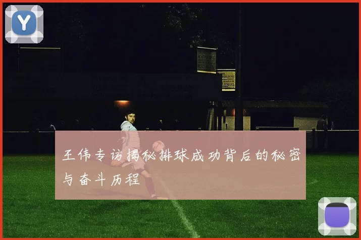 王伟专访揭秘排球成功背后的秘密与奋斗历程