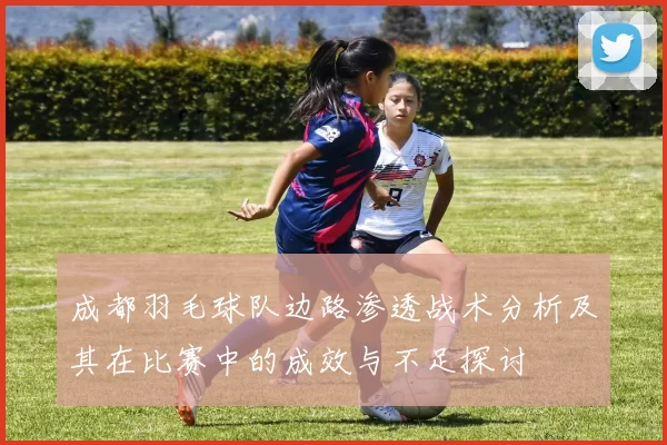 成都羽毛球队边路渗透战术分析及其在比赛中的成效与不足探讨
