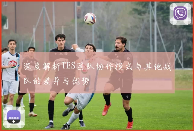 深度解析TES团队协作模式与其他战队的差异与优势