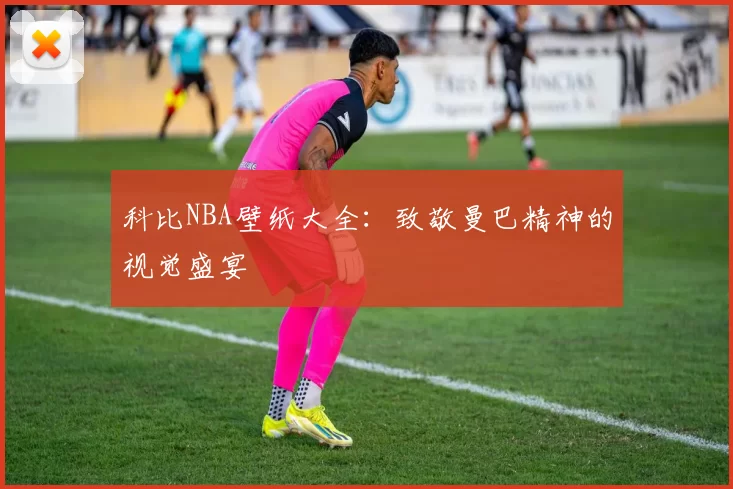 科比NBA壁纸大全：致敬曼巴精神的视觉盛宴