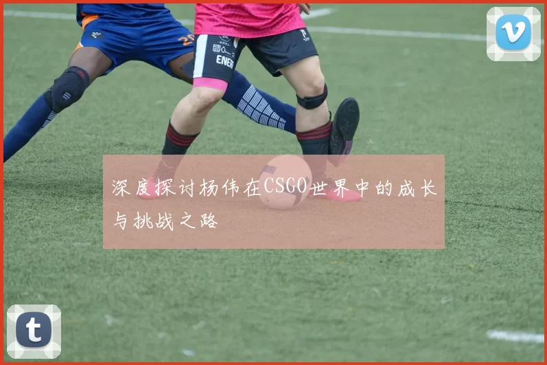 深度探讨杨伟在CSGO世界中的成长与挑战之路