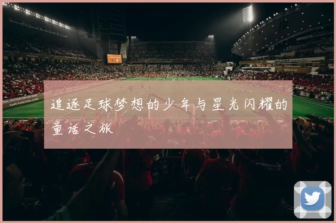 追逐足球梦想的少年与星光闪耀的童话之旅