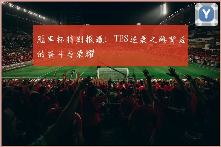 冠军杯特别报道：TES逆袭之路背后的奋斗与荣耀