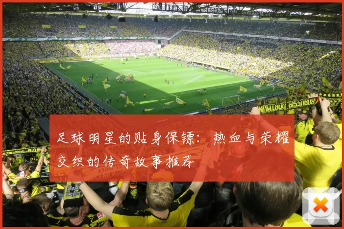 足球明星的贴身保镖：热血与荣耀交织的传奇故事推荐