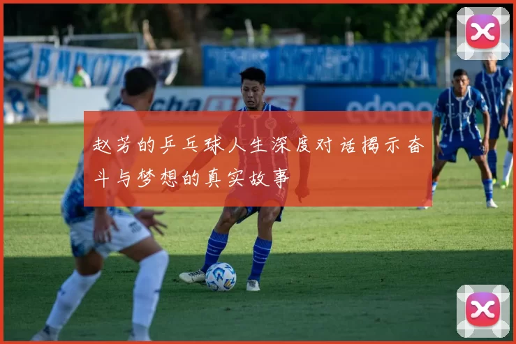 赵芳的乒乓球人生深度对话揭示奋斗与梦想的真实故事