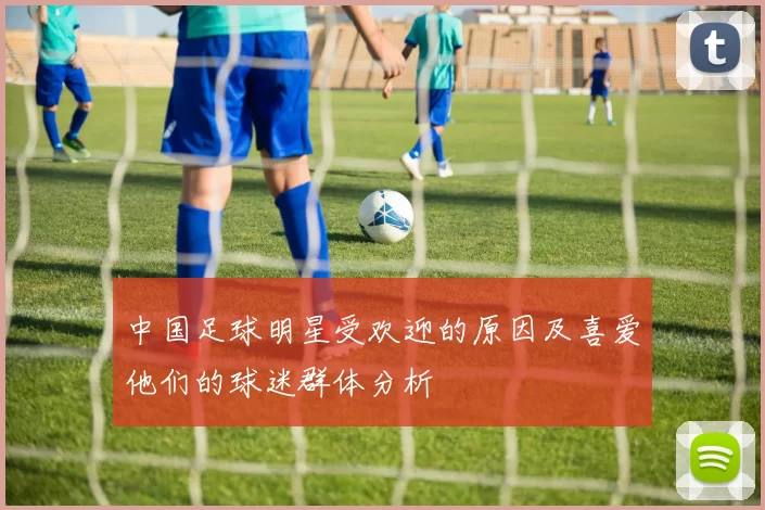 中国足球明星受欢迎的原因及喜爱他们的球迷群体分析
