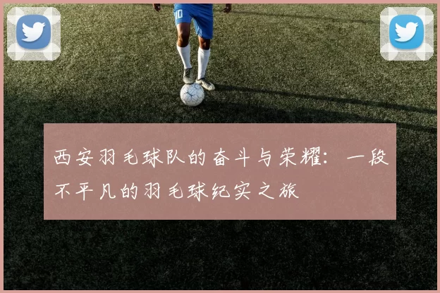 西安羽毛球队的奋斗与荣耀：一段不平凡的羽毛球纪实之旅