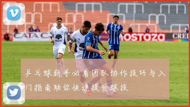 乒乓球新手必看团队协作技巧与入门指南助你快速提升球技