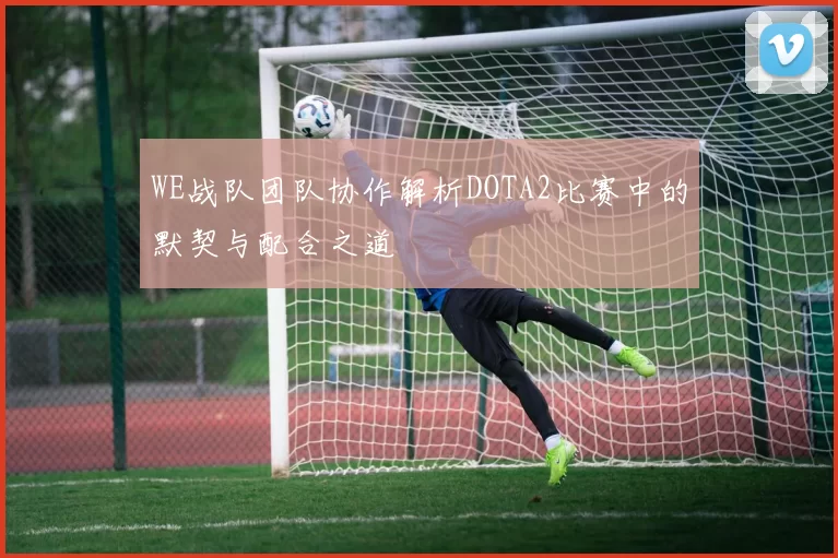 WE战队团队协作解析DOTA2比赛中的默契与配合之道