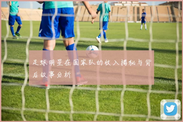 足球明星在国家队的收入揭秘与背后故事分析