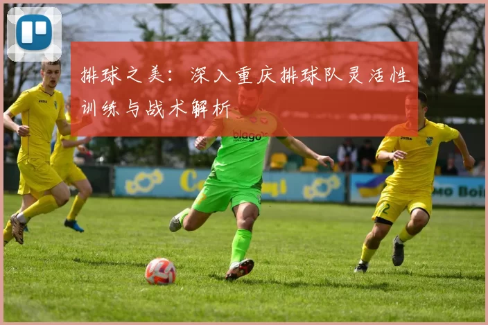 排球之美：深入重庆排球队灵活性训练与战术解析