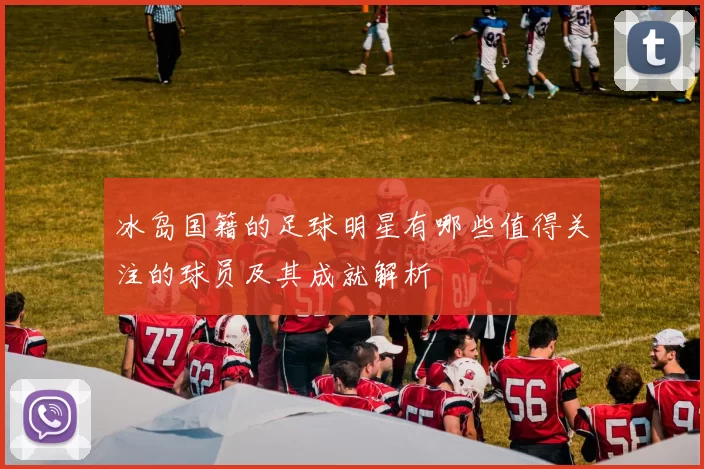 冰岛国籍的足球明星有哪些值得关注的球员及其成就解析