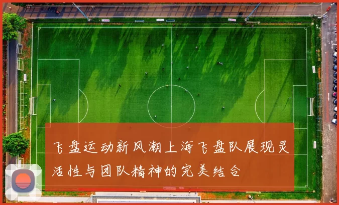 飞盘运动新风潮上海飞盘队展现灵活性与团队精神的完美结合