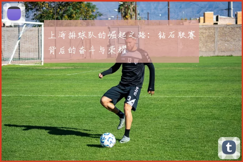 上海排球队的崛起之路：钻石联赛背后的奋斗与荣耀