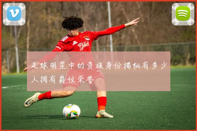 足球明星中的贵族身份揭秘有多少人拥有爵位荣誉