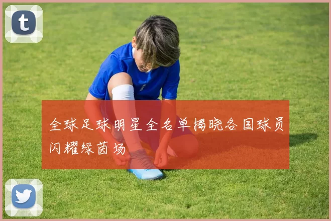 全球足球明星全名单揭晓各国球员闪耀绿茵场
