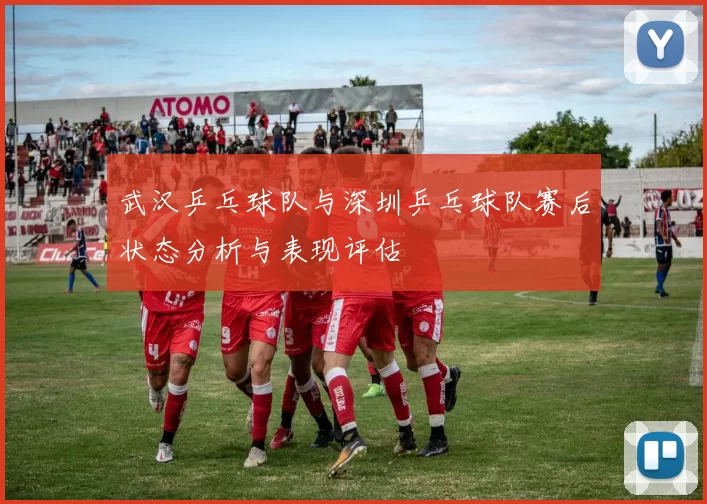 武汉乒乓球队与深圳乒乓球队赛后状态分析与表现评估