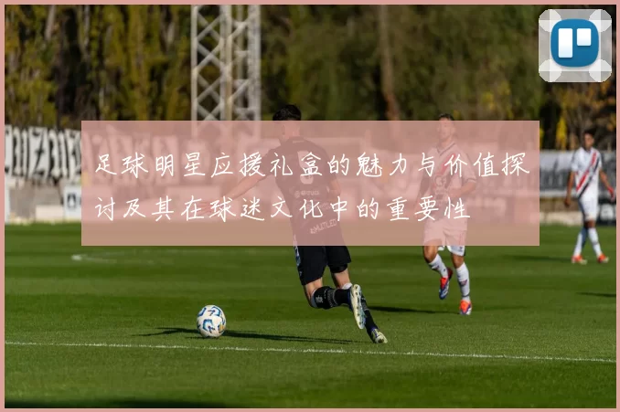 足球明星应援礼盒的魅力与价值探讨及其在球迷文化中的重要性