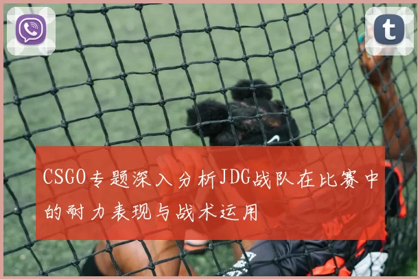CSGO专题深入分析JDG战队在比赛中的耐力表现与战术运用