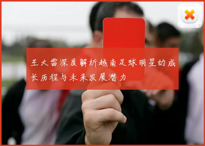 王大雷深度解析越南足球明星的成长历程与未来发展潜力