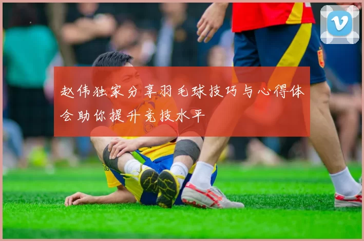 赵伟独家分享羽毛球技巧与心得体会助你提升竞技水平