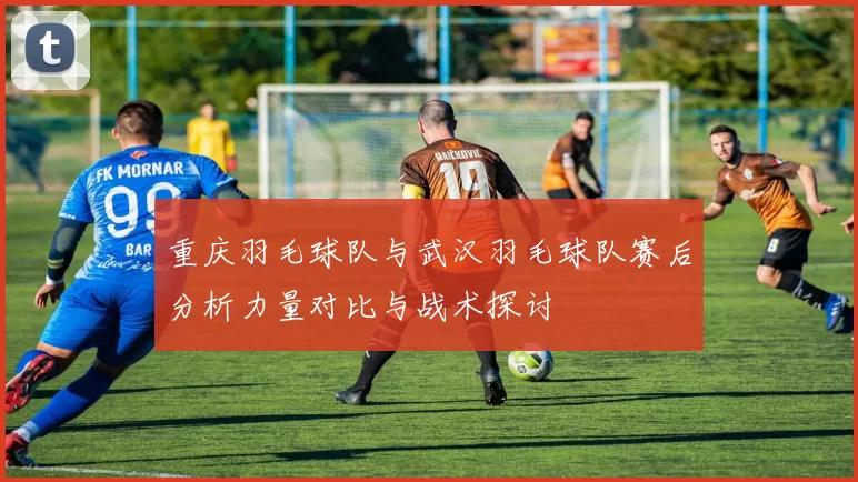 重庆羽毛球队与武汉羽毛球队赛后分析力量对比与战术探讨
