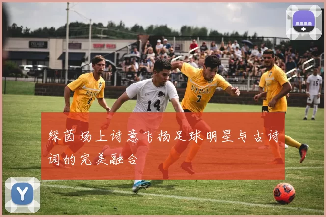 绿茵场上诗意飞扬足球明星与古诗词的完美融合