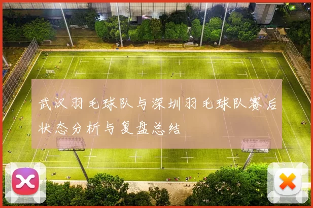 武汉羽毛球队与深圳羽毛球队赛后状态分析与复盘总结