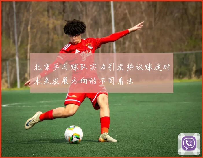 北京乒乓球队实力引发热议球迷对未来发展方向的不同看法