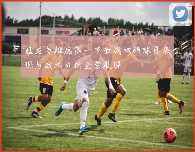 猛龙与雄鹿第一节激战回顾球员表现与战术分析全景展现