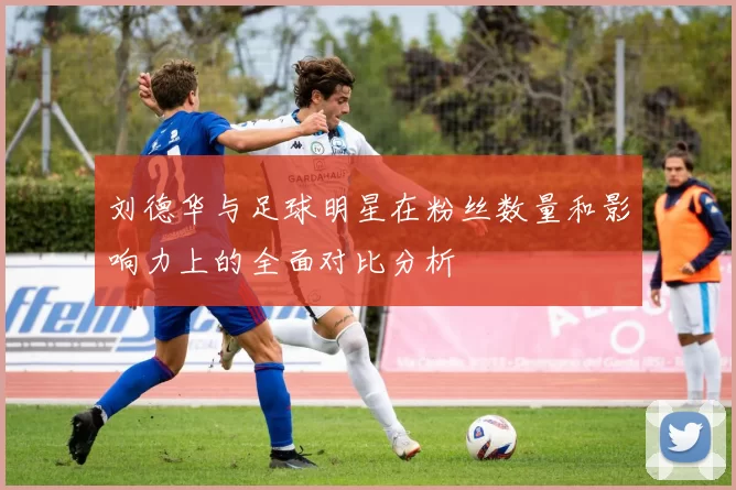 刘德华与足球明星在粉丝数量和影响力上的全面对比分析